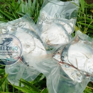 Jual Ikan Semar Frozen Vakum 500 Gram – Beku Segar &Amp; Higienis, Siap Kirim Ke Seluruh Indonesia