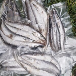 Jual Ikan Cucut Frozen 500 Gram – Freezygo Kediri